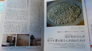 yaoya2.JPG